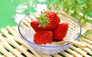 桑托斯拉古纳 VS 美洲狮